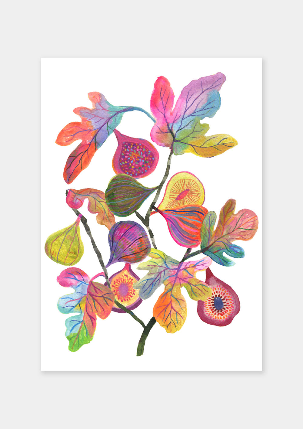 Rainbow Figs