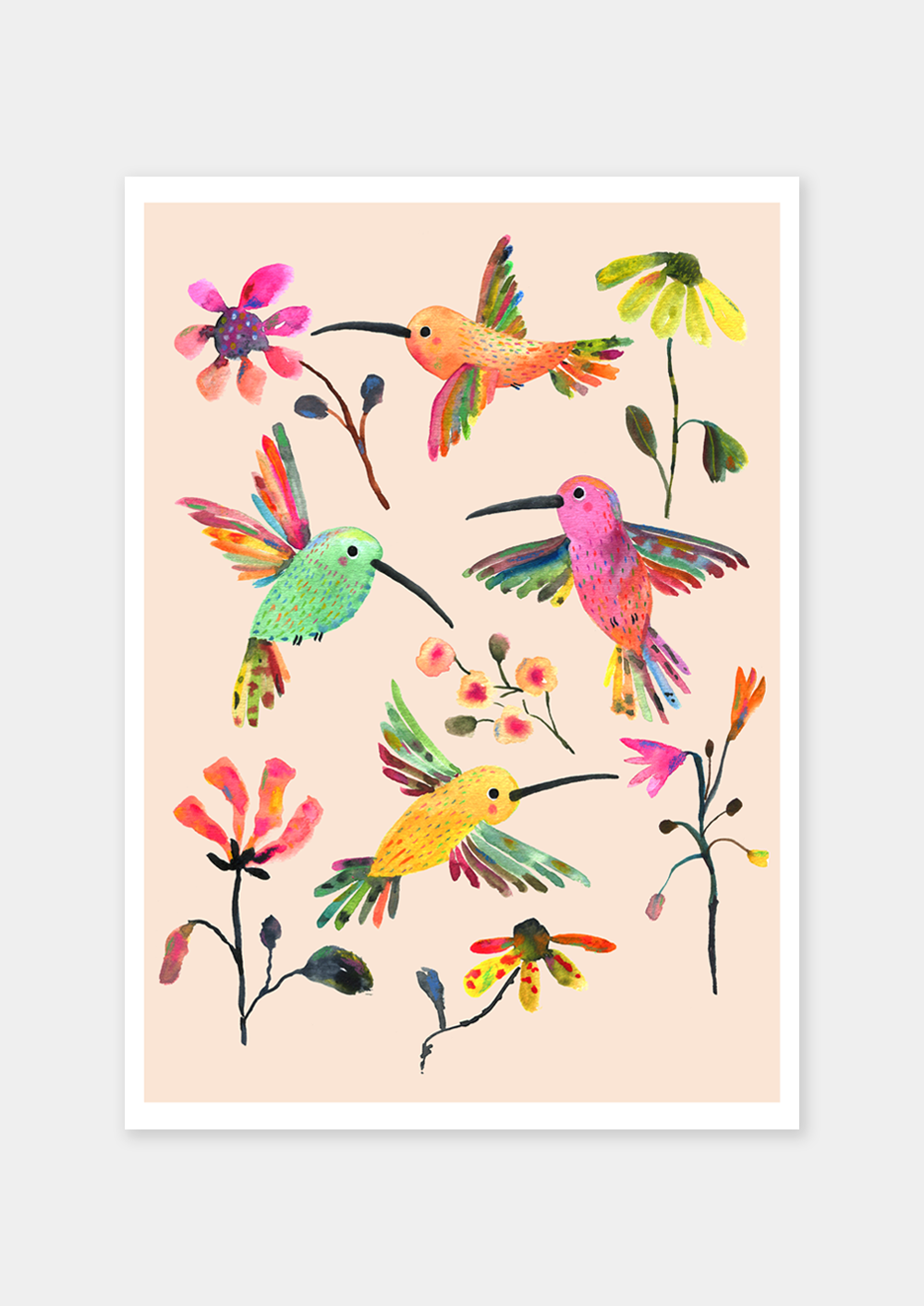 Humming Birds